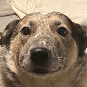 Meet your Posher, Fern